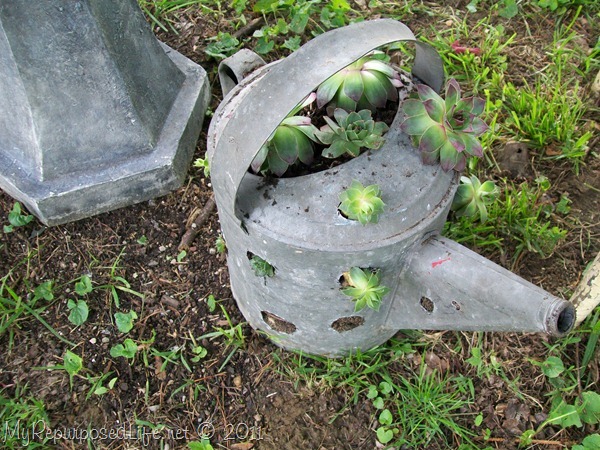 Repurposed Vintage (gas/watering) cans - My Repurposed Life®